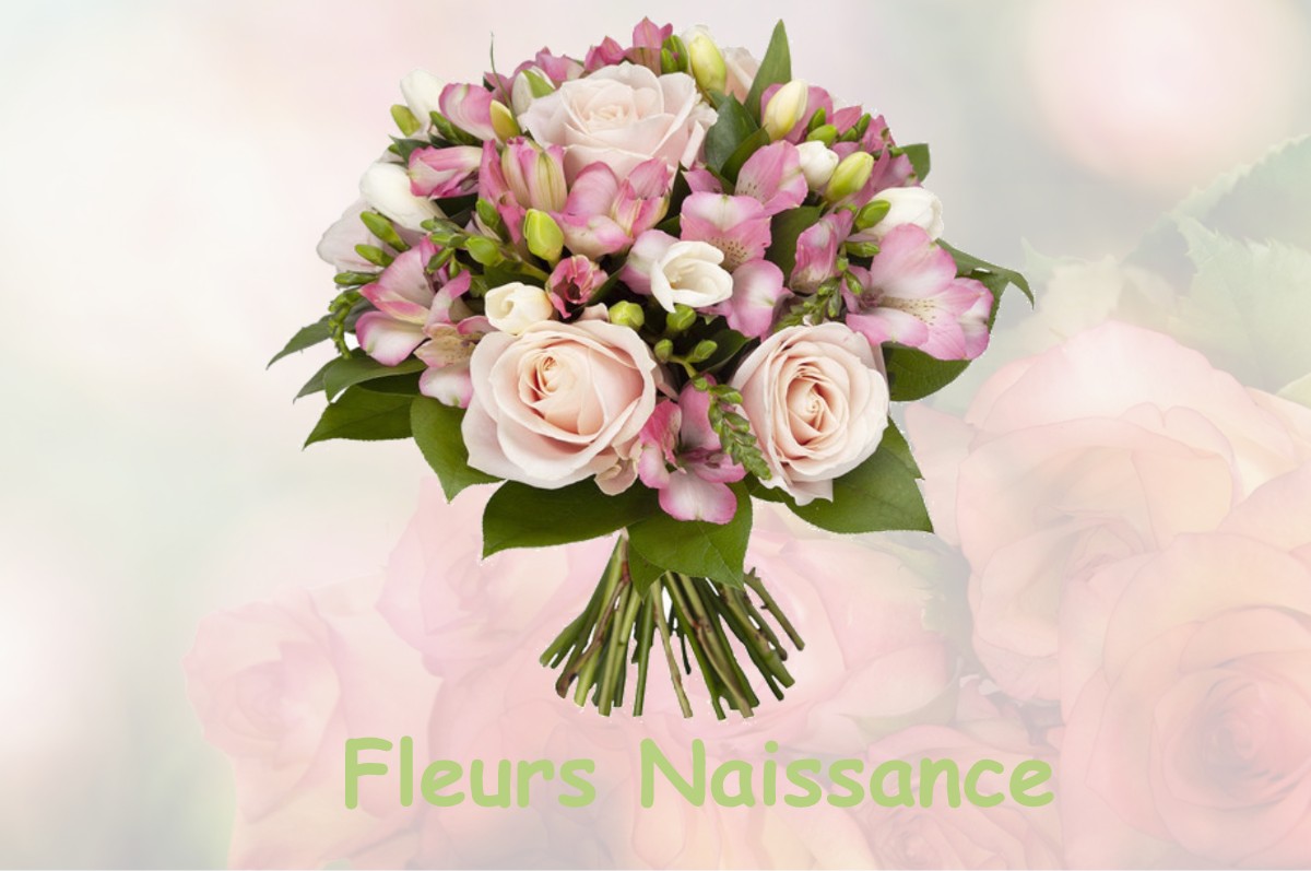 fleurs naissance LE-BUSSEAU