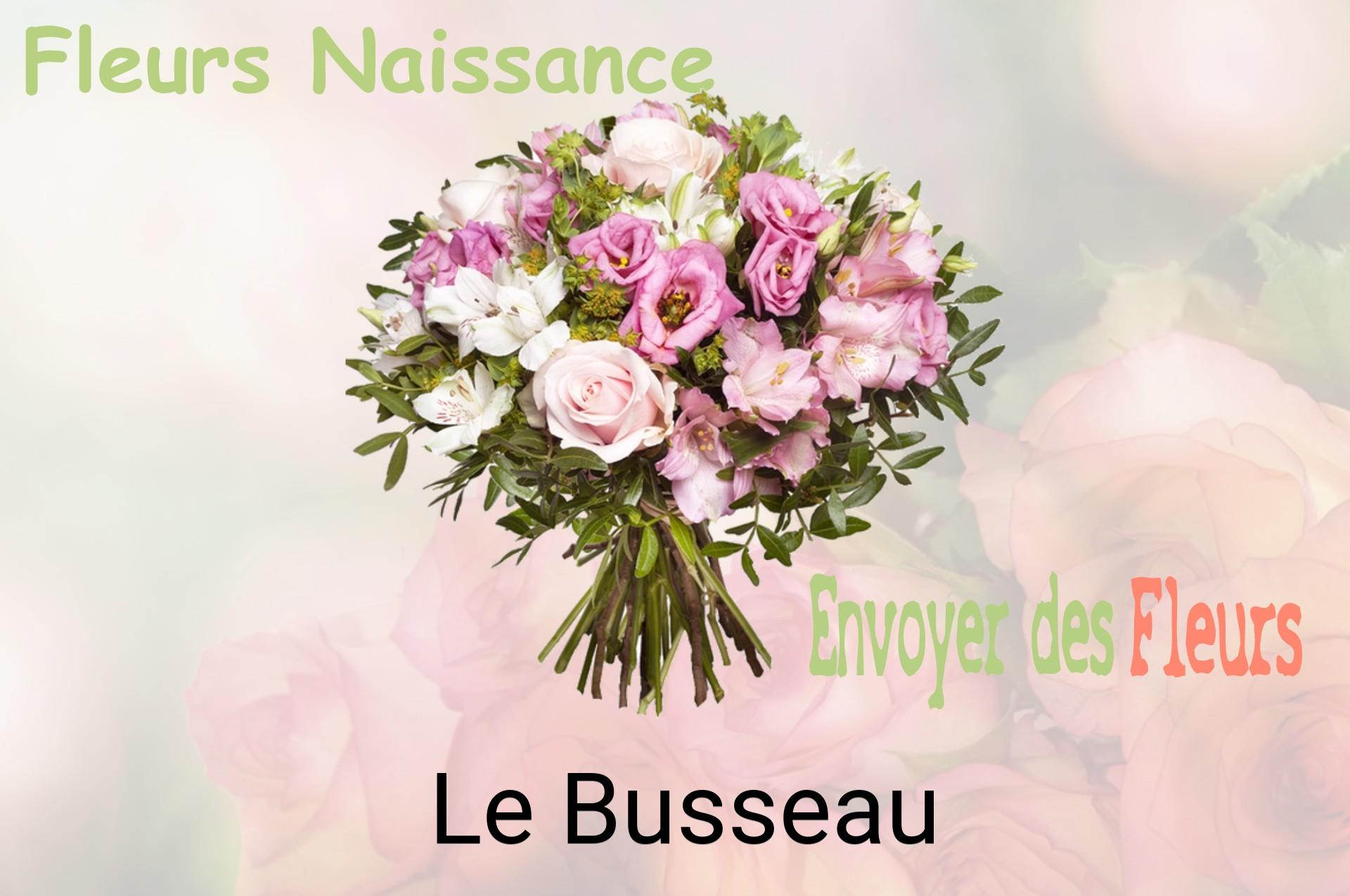 Bouquet de fleurs de naissance livré à Le Busseau